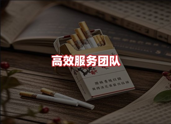 专业团队